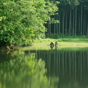 Photo du film : Hana