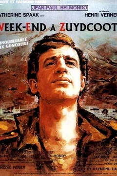 Affiche du film Week end