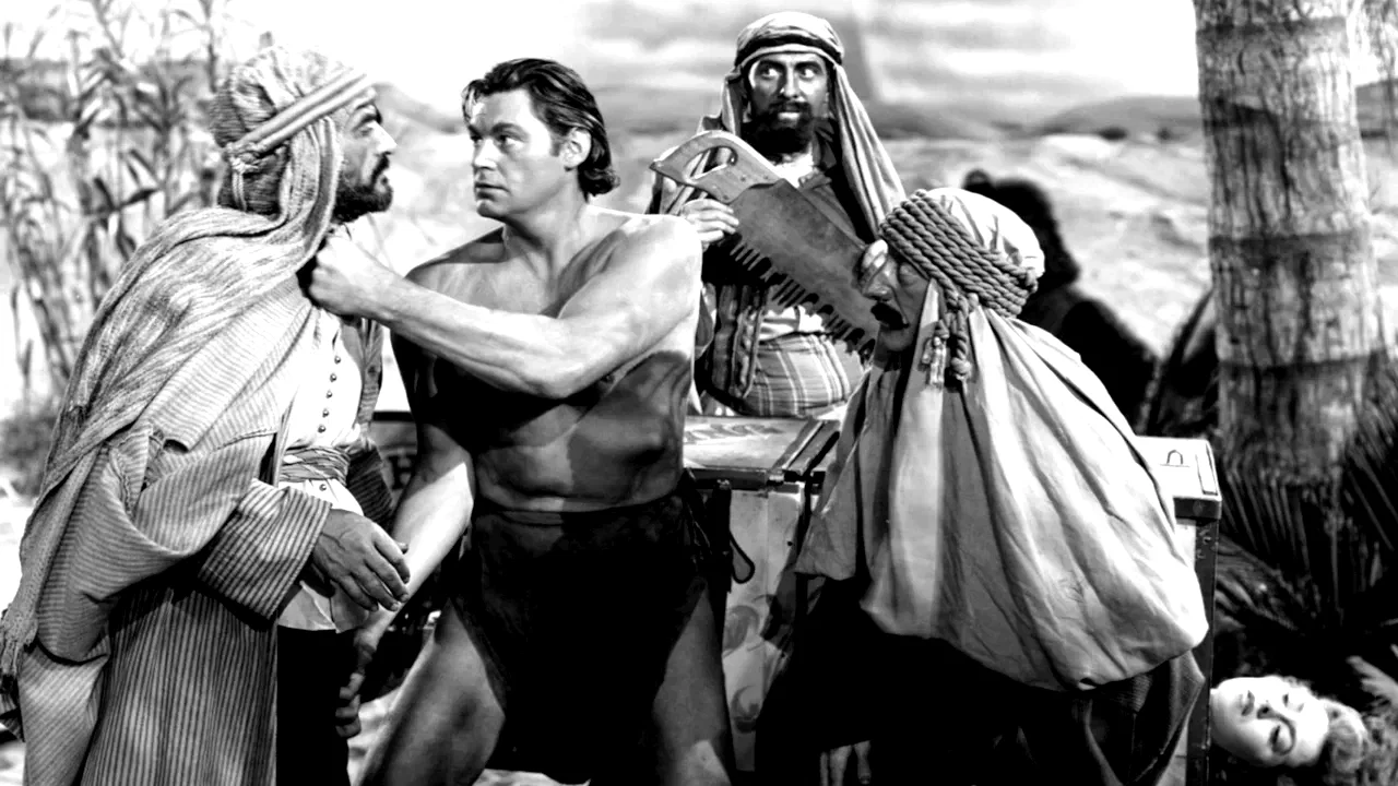 Photo 2 du film : Le mystere de tarzan