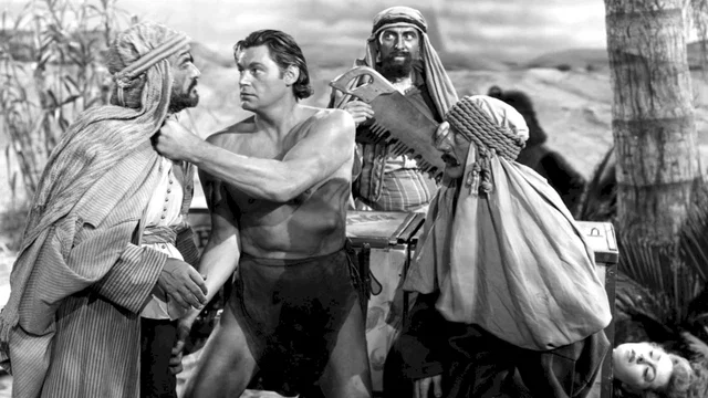 Photo 2 du film : Le mystere de tarzan