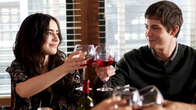 Affiche du film : Stuck in Love