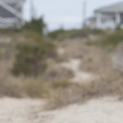 Miniature photo du film : Stuck in Love
