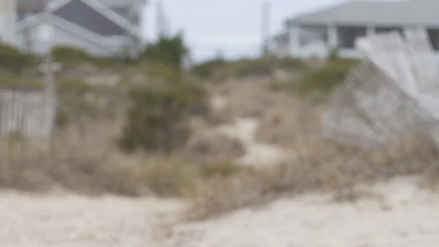 Photo 3 du film : Stuck in Love