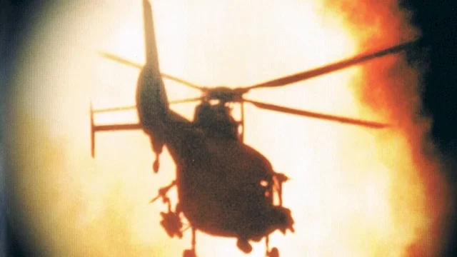 Photo du film : Delta force 2