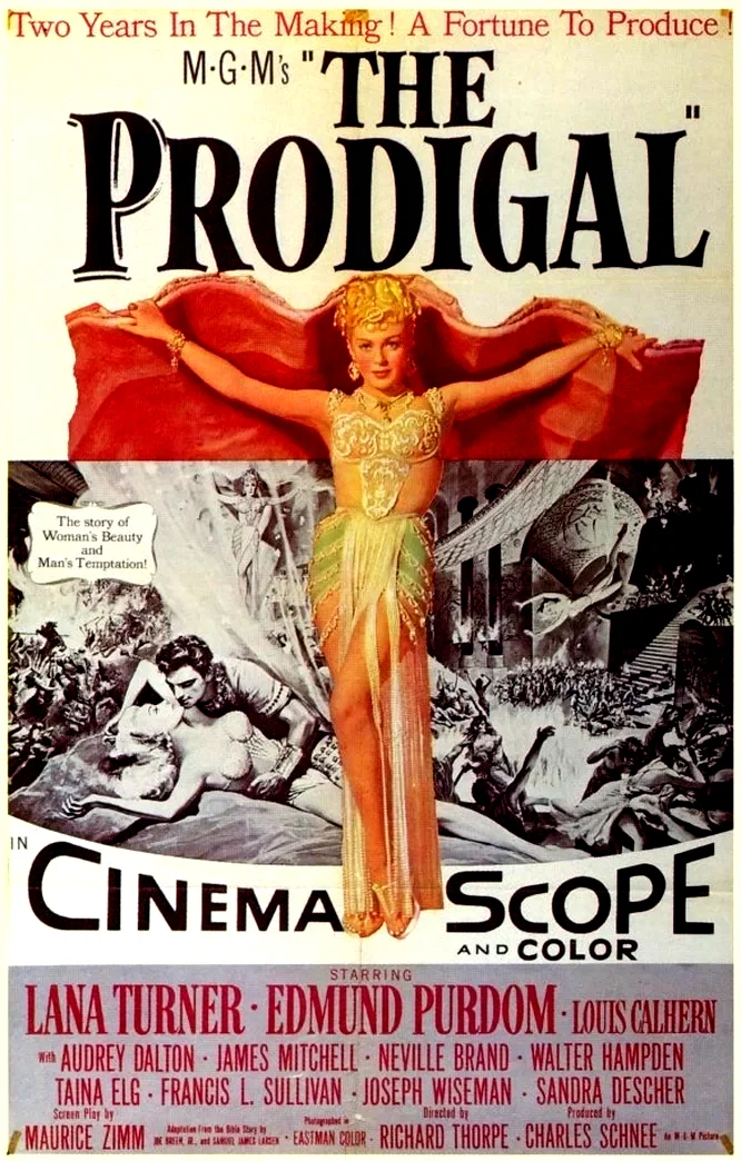 Affiche du film : Le fils prodigue