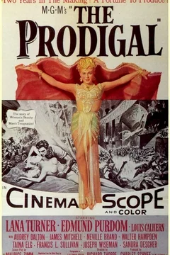 Affiche du film Le fils prodigue