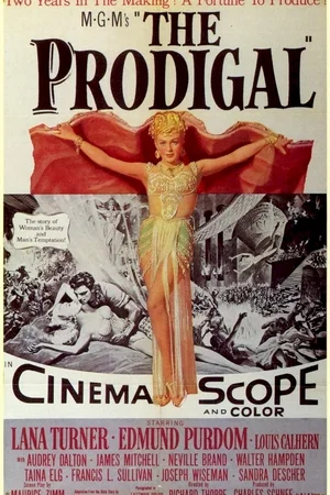 Affiche du film : Le fils prodigue