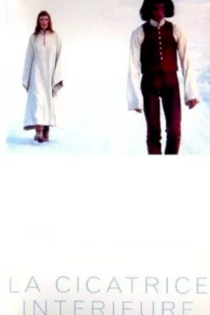Affiche du film : La cicatrice interieure