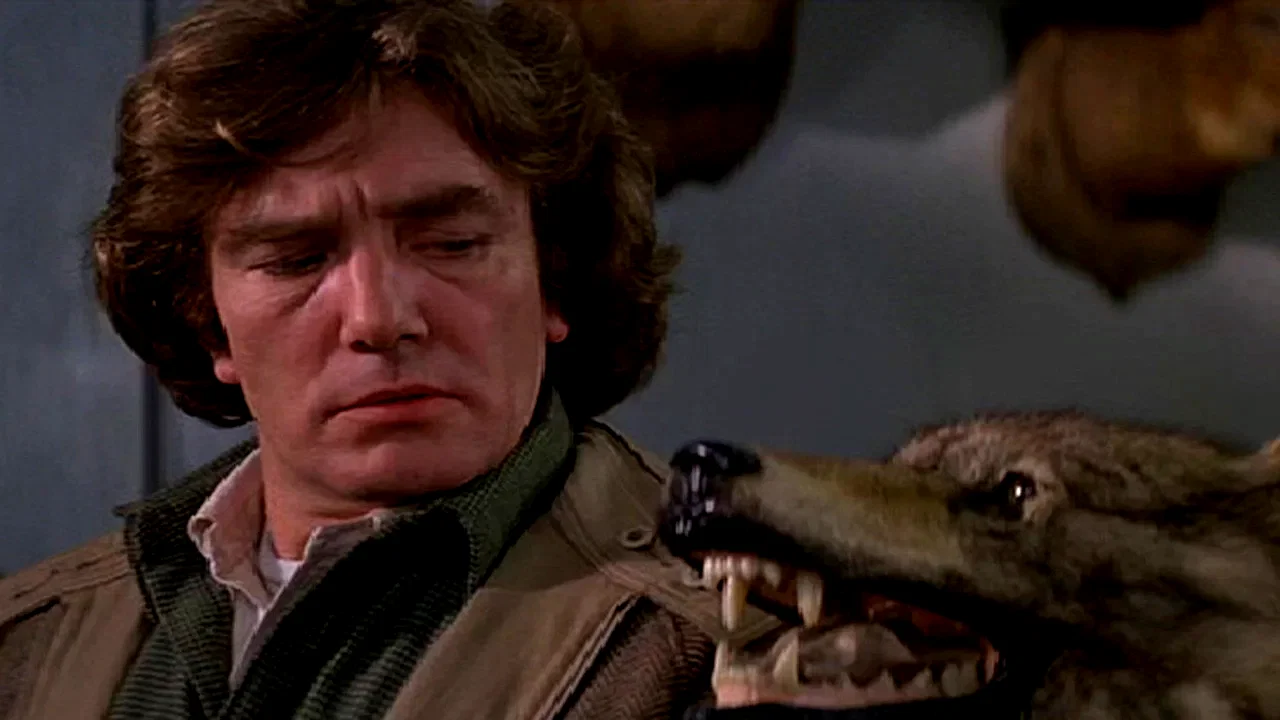 Photo 2 du film : Wolfen