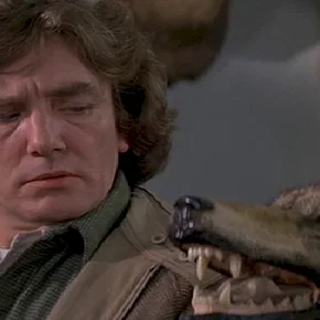 Photo du film : Wolfen