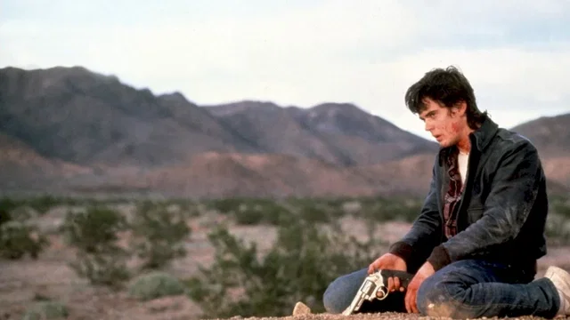 Photo du film : Hitcher