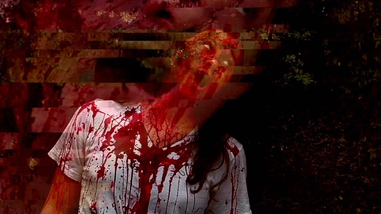 Photo 8 du film : V/H/S
