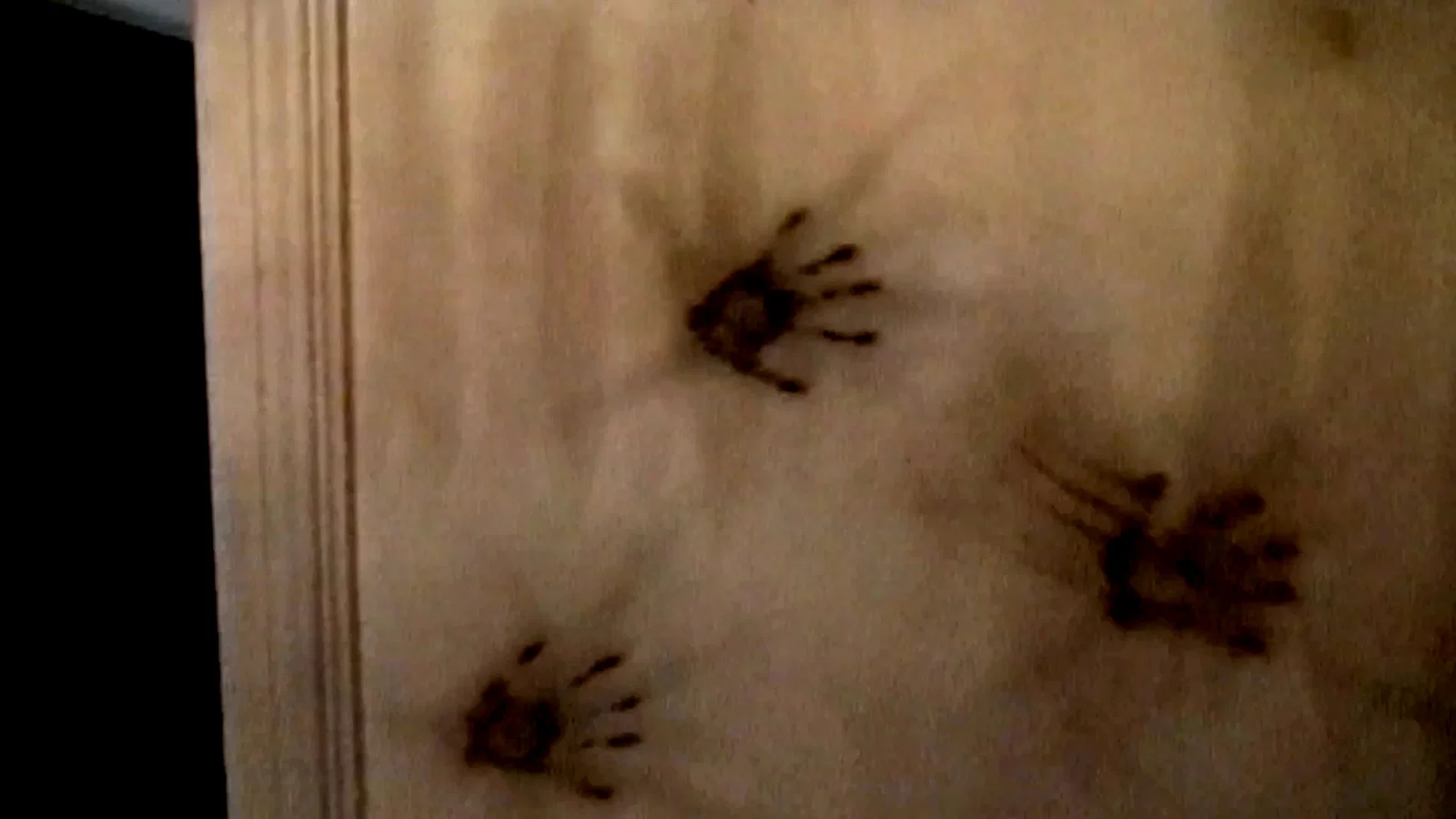 Photo 10 du film : V/H/S