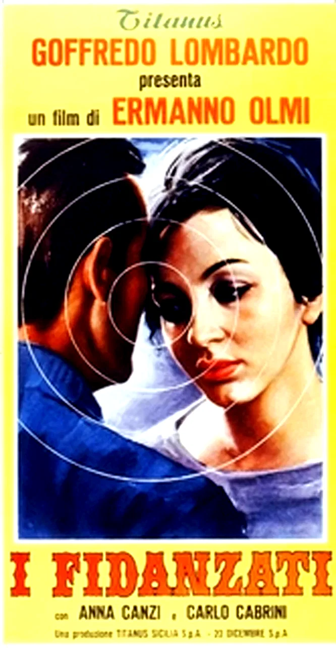 Affiche du film : Les fiances