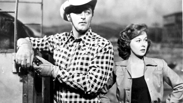 Photo 3 du film : Les indomptables
