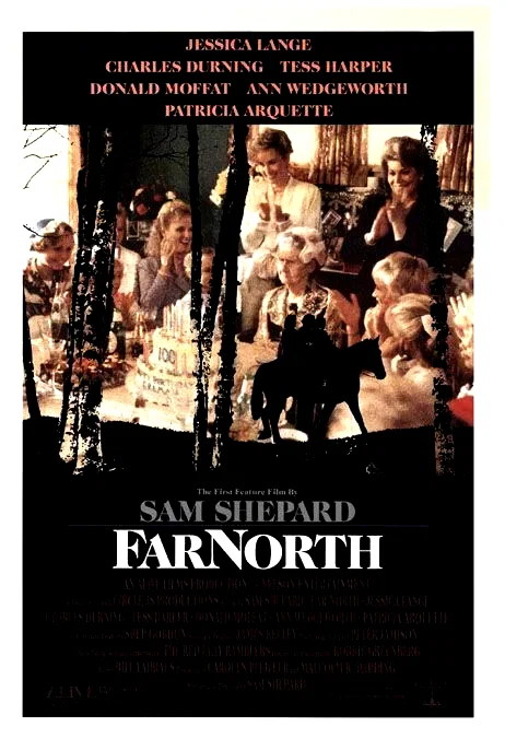 Affiche du film : Far north
