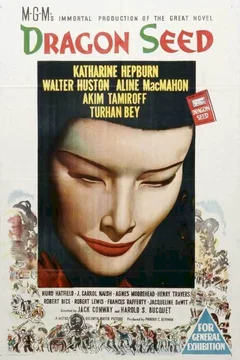 Affiche du film Les fils du dragon