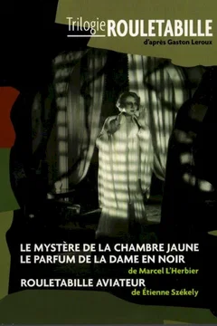 Affiche du film Le parfum de la Dame en noir