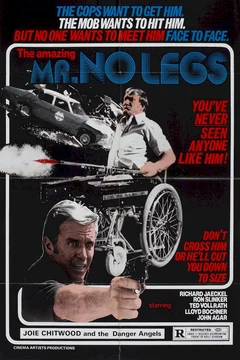 Affiche du film L'Infernale Poursuite