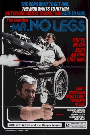 Affiche du film : L'Infernale Poursuite