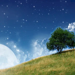 Photo du film : La misma luna 