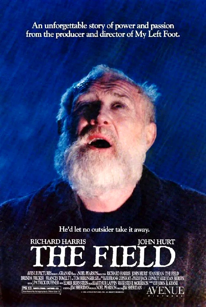 Affiche du film : The field