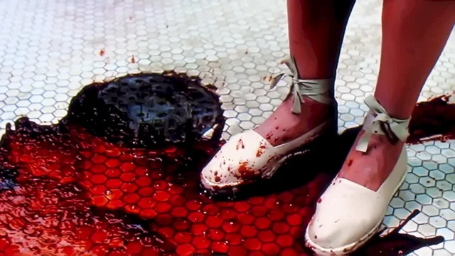Photo du film : La Féline