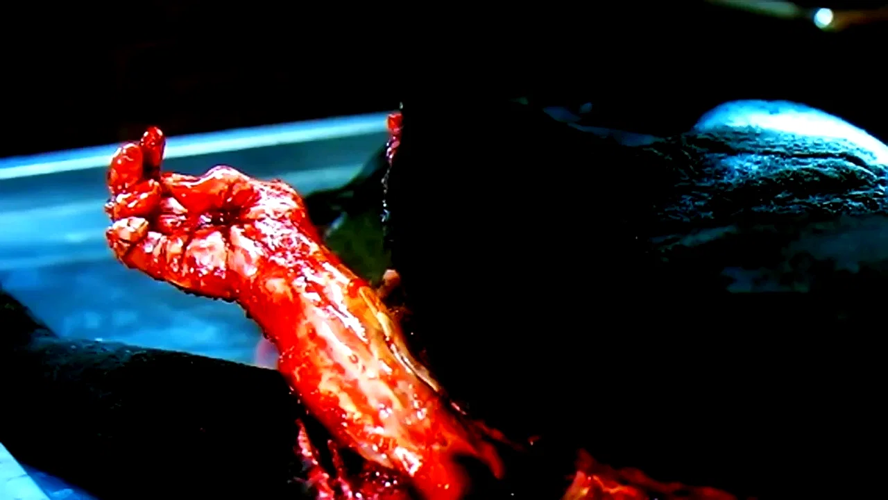 Photo 5 du film : La Féline