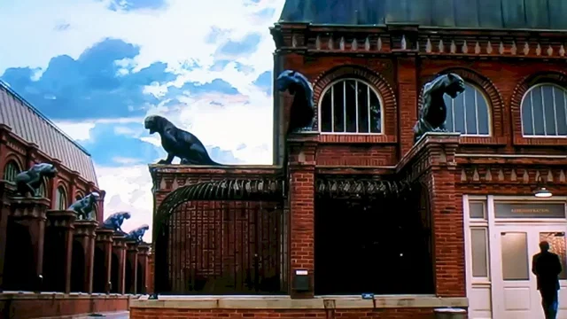 Photo du film : La Féline