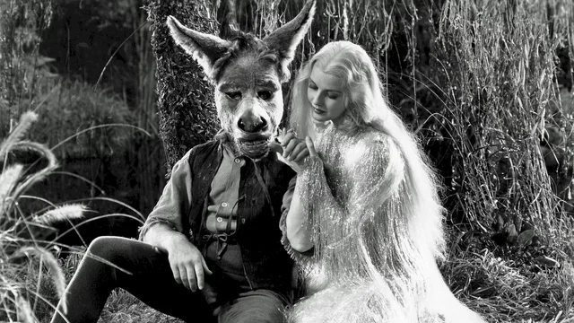Photo 2 du film : Songe d'une nuit d'ete