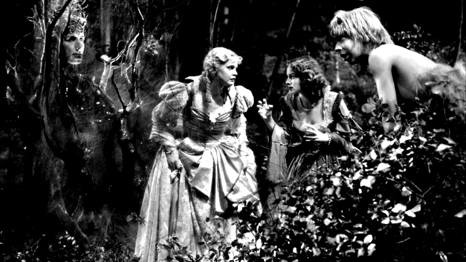 Photo 3 du film : Songe d'une nuit d'ete