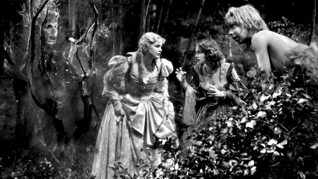 Photo 3 du film : Songe d'une nuit d'ete
