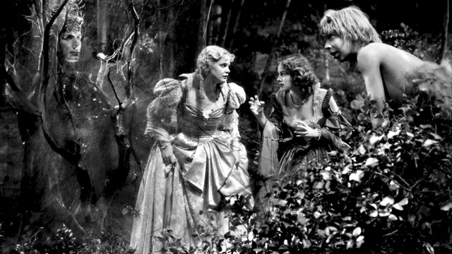 Photo 5 du film : Songe d'une nuit d'ete