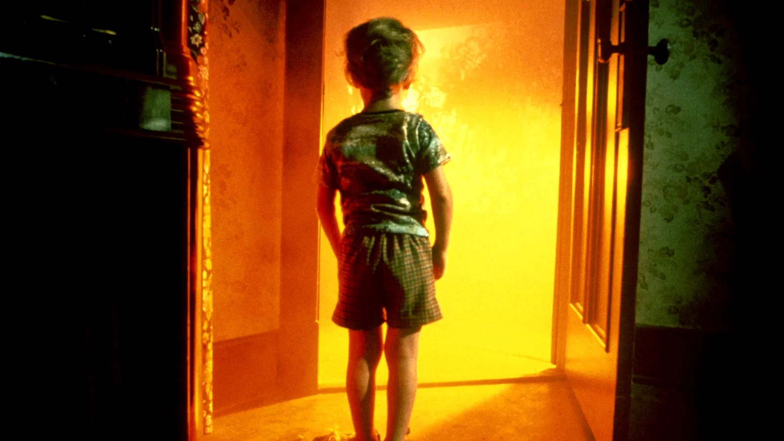 Photo 3 du film : Milo sur Mars