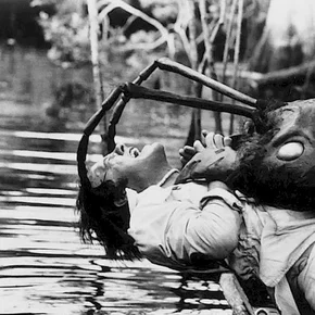Photo du film : L'empire des fourmis geantes
