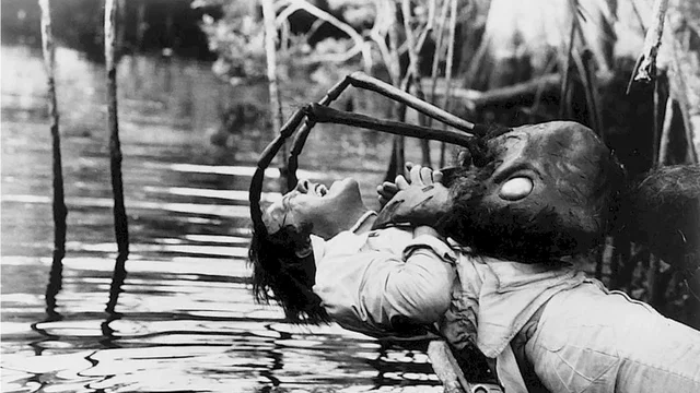 Photo du film : L'empire des fourmis geantes
