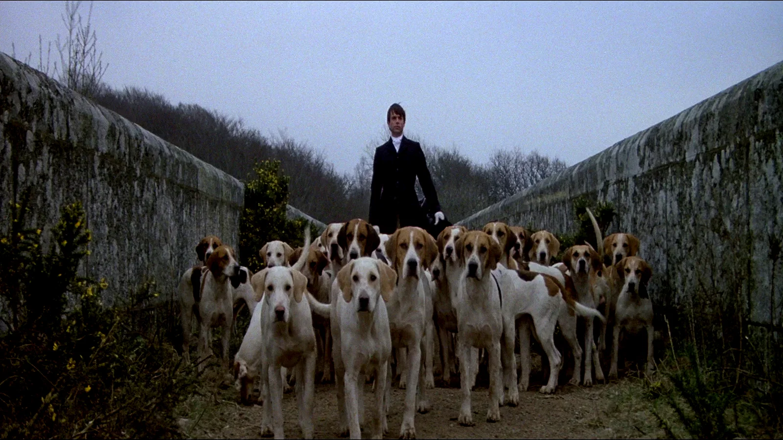 Photo 3 du film : La malediction finale