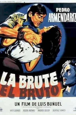 Affiche du film : L'enjoleuse