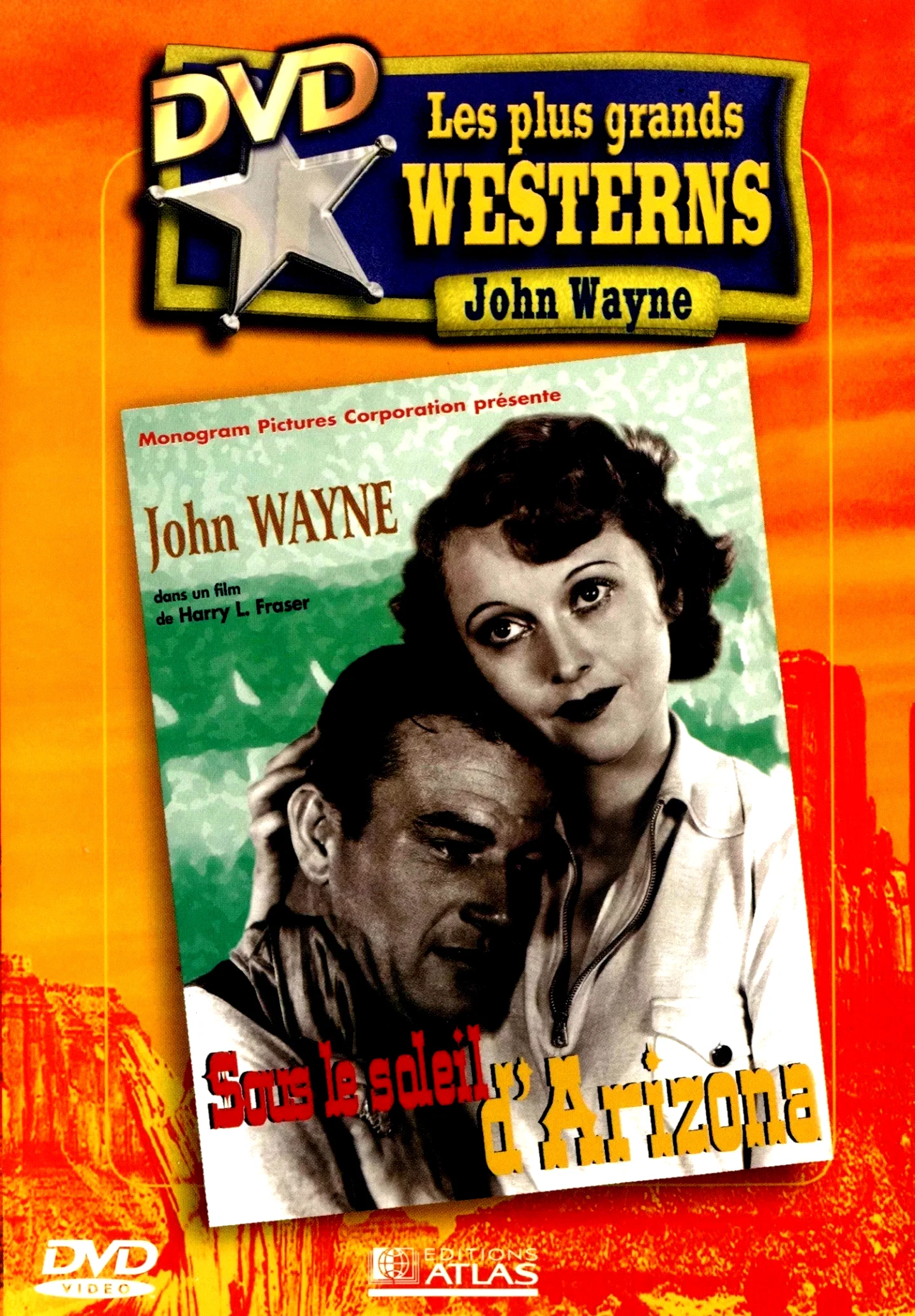 Affiche du film : Neath arizona skies
