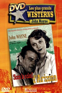 Affiche du film Neath arizona skies