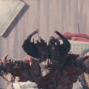 Photo du film : Ticks