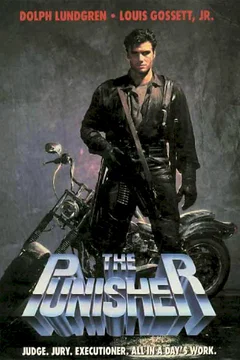 Affiche du film Punisher