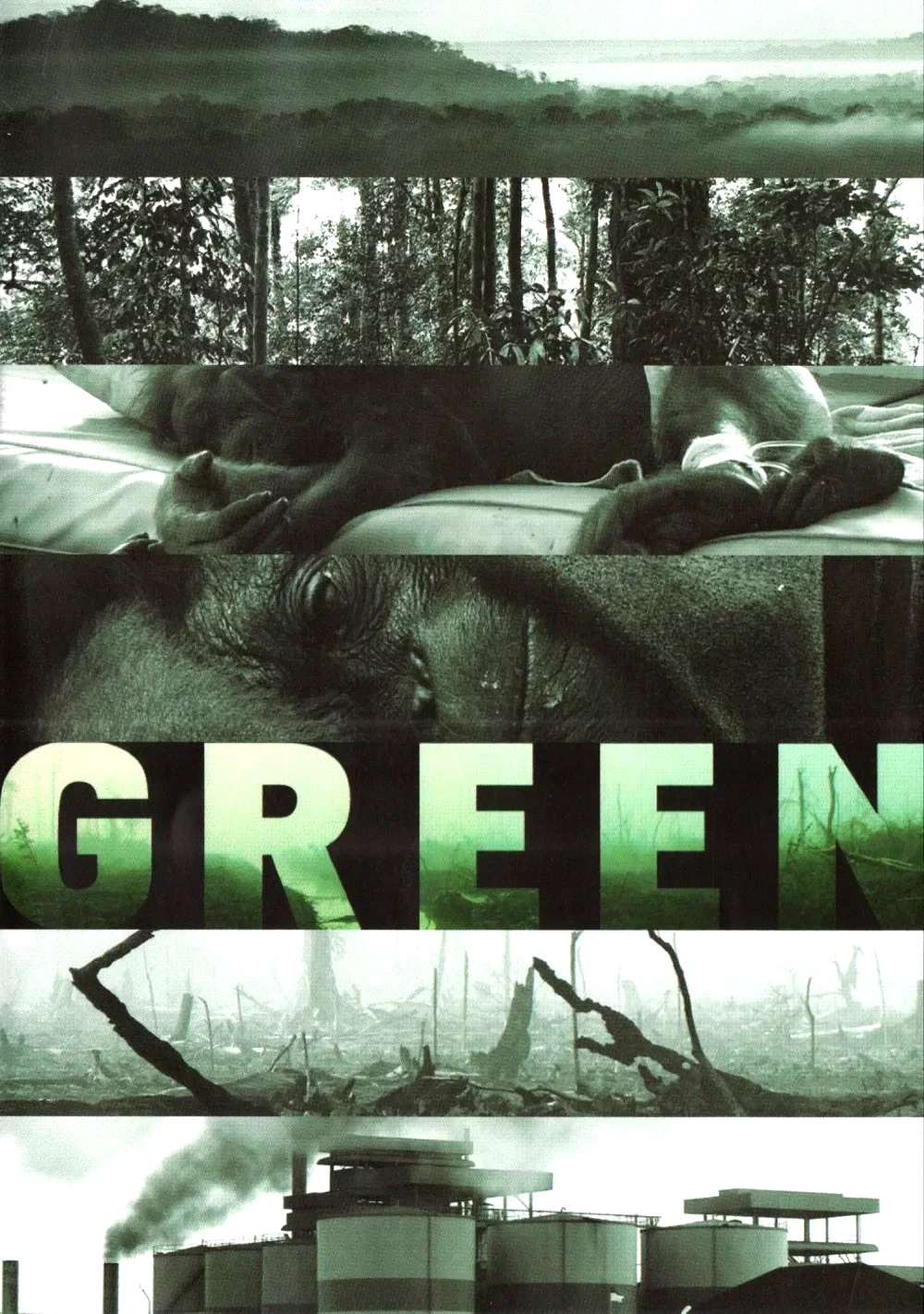 Affiche du film : Green