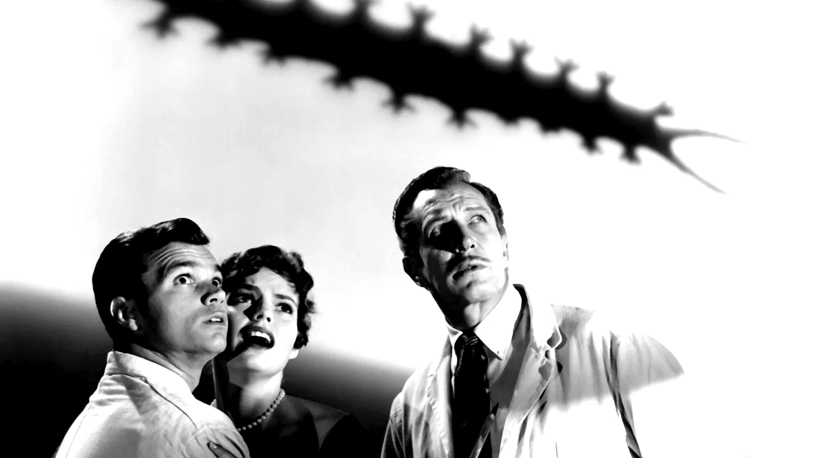 Affiche du film : Le desosseur de cadavres