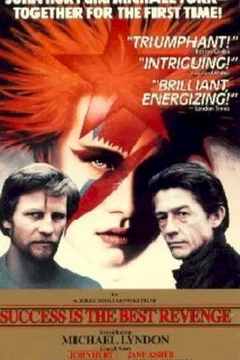 Affiche du film Le succes