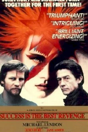 Affiche du film : Le succes