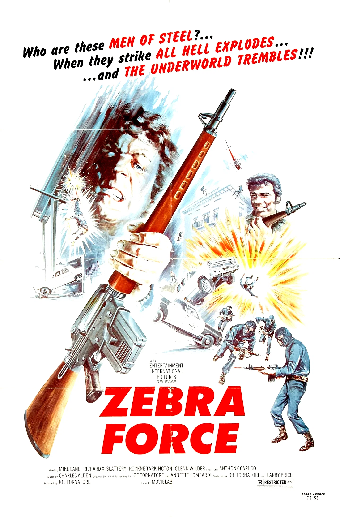 Affiche du film : Zebra force