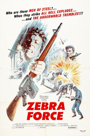 Affiche du film : Zebra force