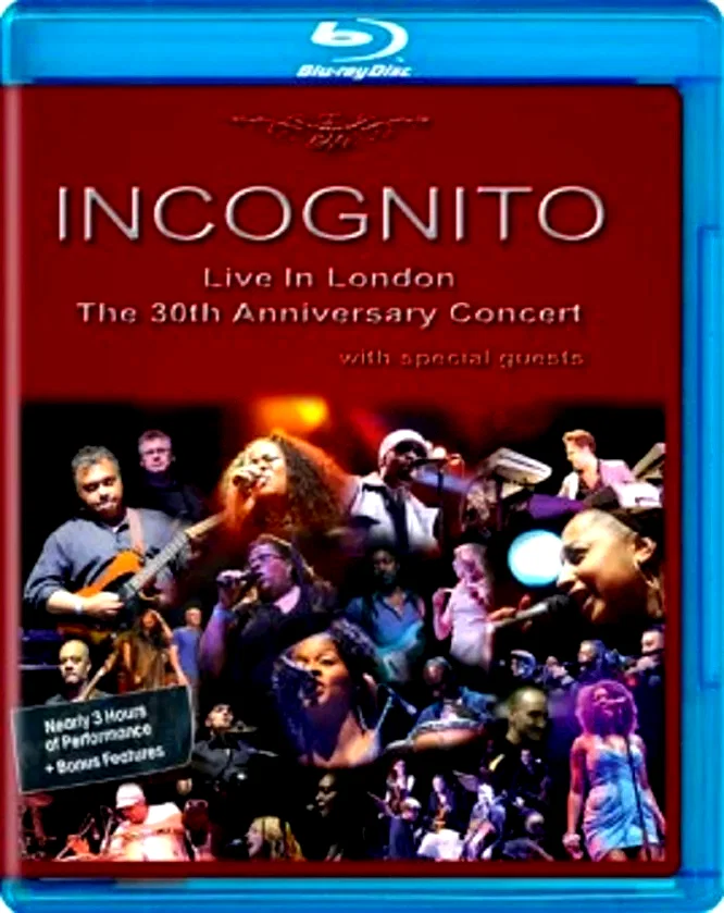 Affiche du film : Incognito