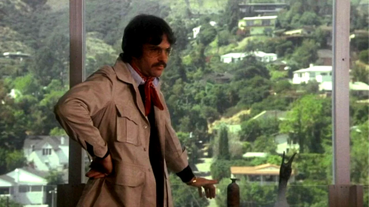 Photo 2 du film : Shampoo